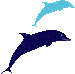 delfinci